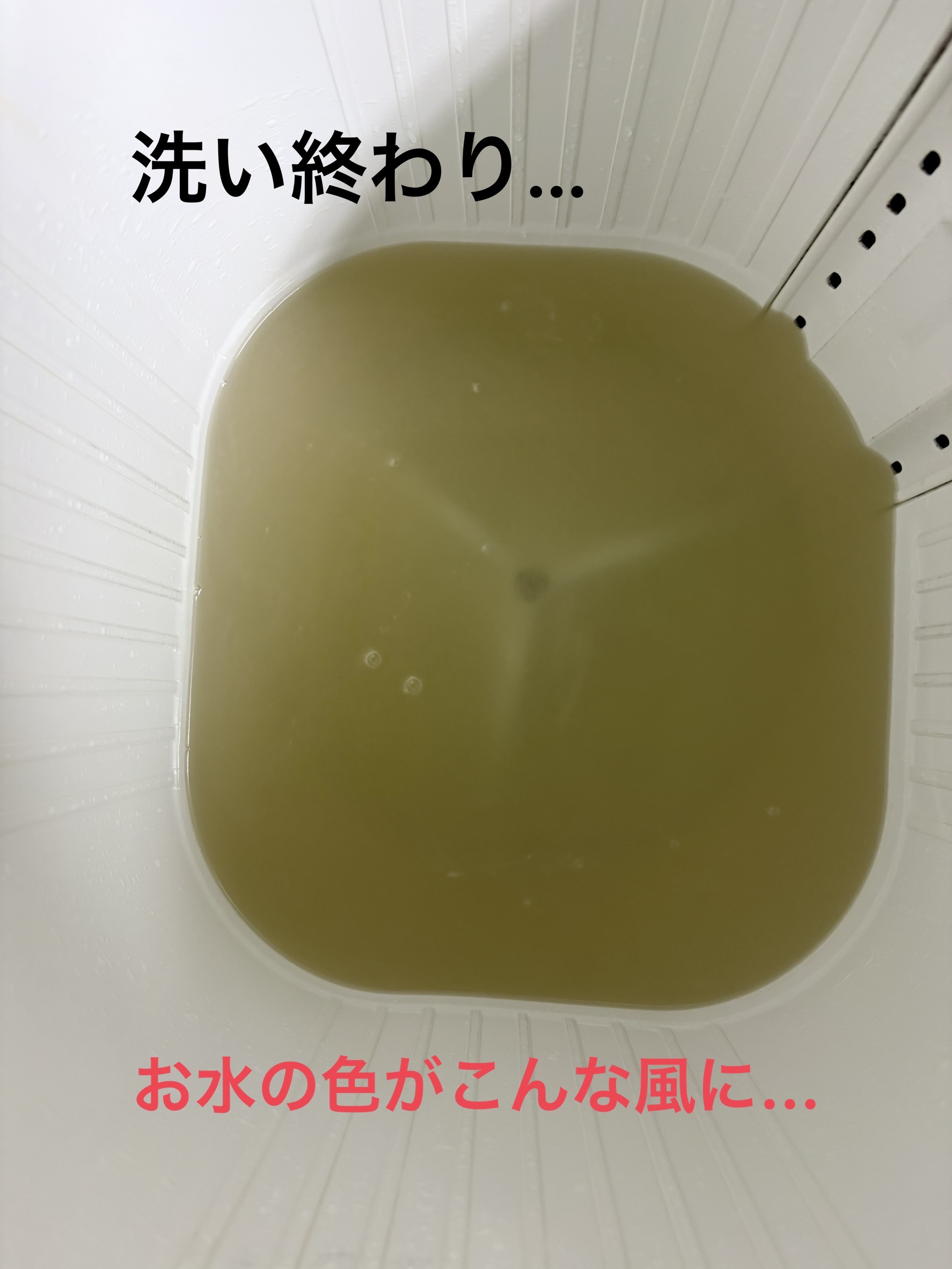 ����Ȃɉ���Ă��܂��I�I