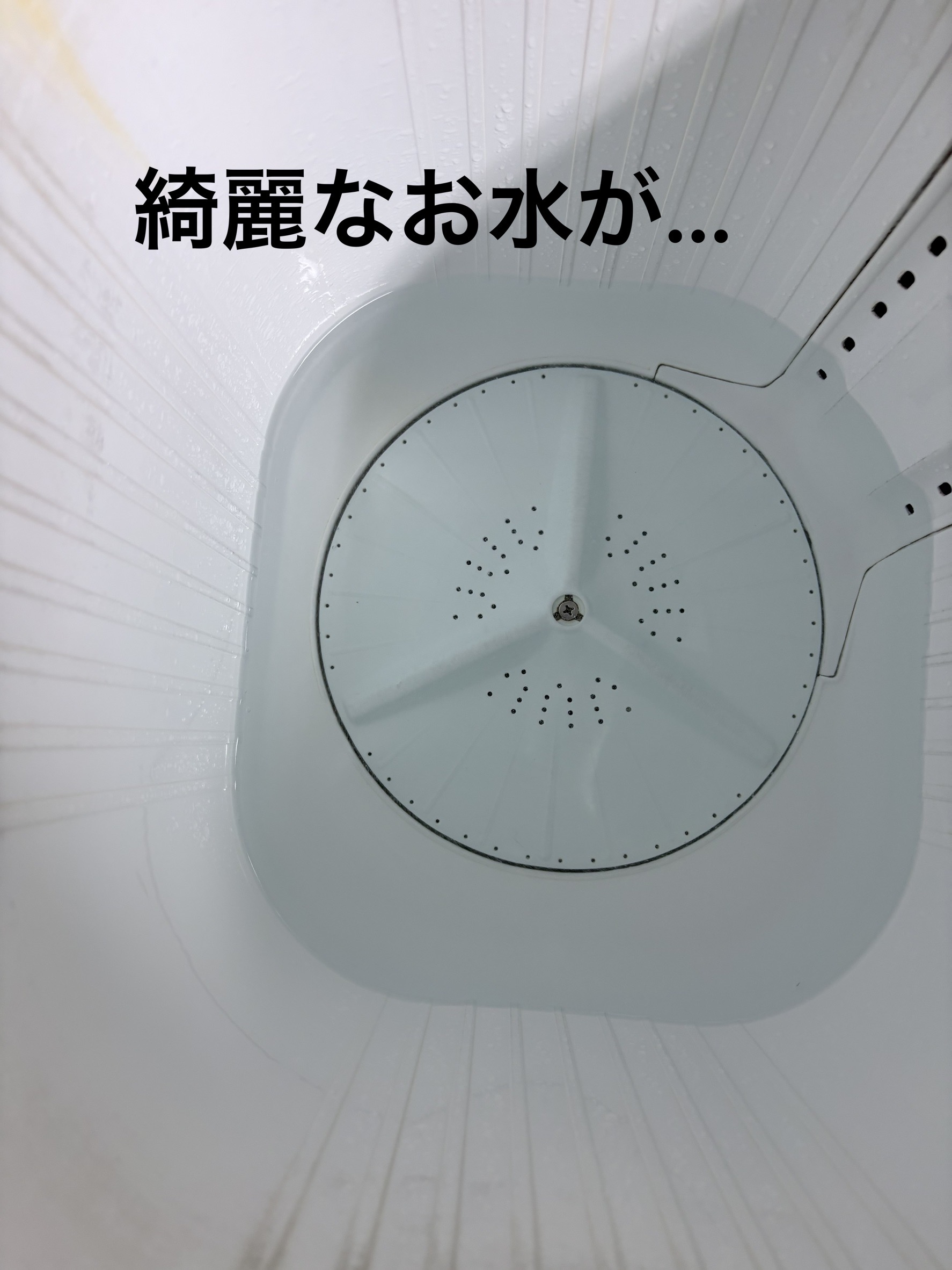 ����Ă݂܂��E�E�E